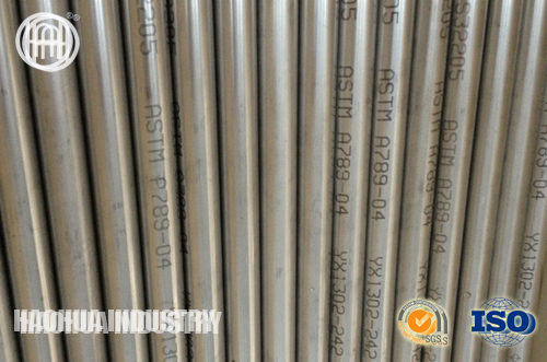 ASTM A790 UNS 31803 Duplex Stainless Steel Pipe/Tubes